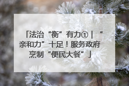 法治“衡”有力①｜“亲和力”十足！服务政府烹制“便民大餐”